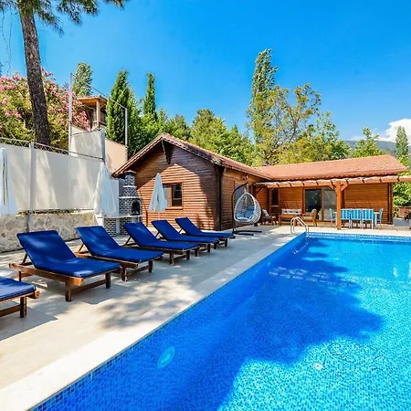 Wood House Villa