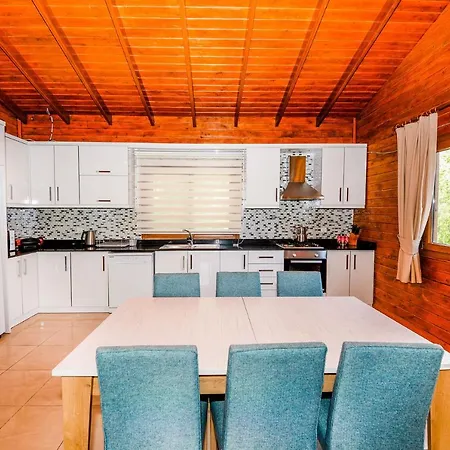 Wood House Villa Kalkan