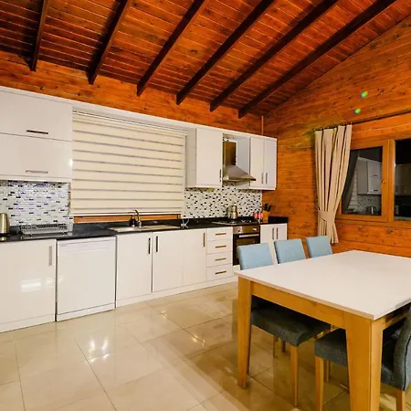 Villa Wood House *