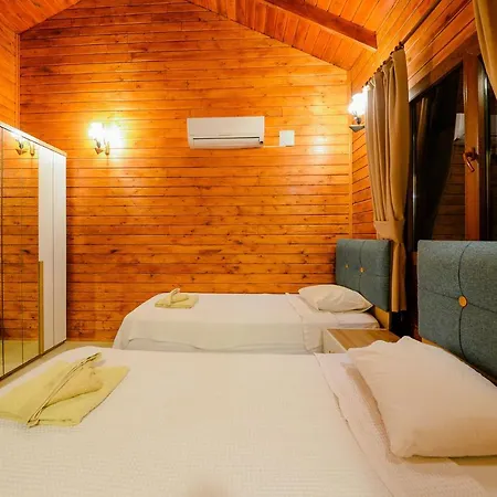 Villa Wood House *